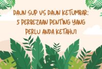 Daun Sup vs Daun Ketumbar